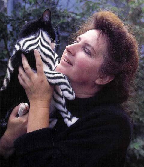 02_cat_42094.jpg