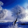 th_wwwmsnnedircom_msn_avatarlar10017.gif