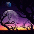 th_wwwmsnnedircom_msn_avatarlar10006.gif