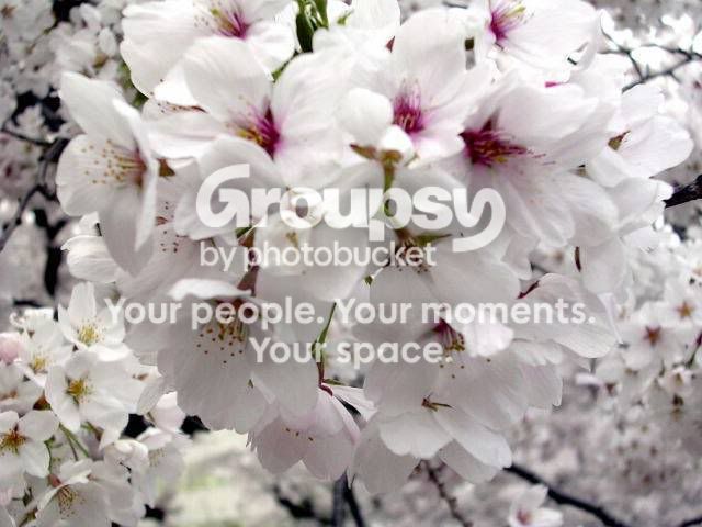 clip_image001.jpg