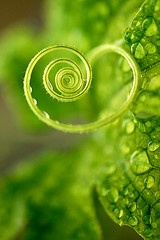 788566153_28b635c03f_m.jpg