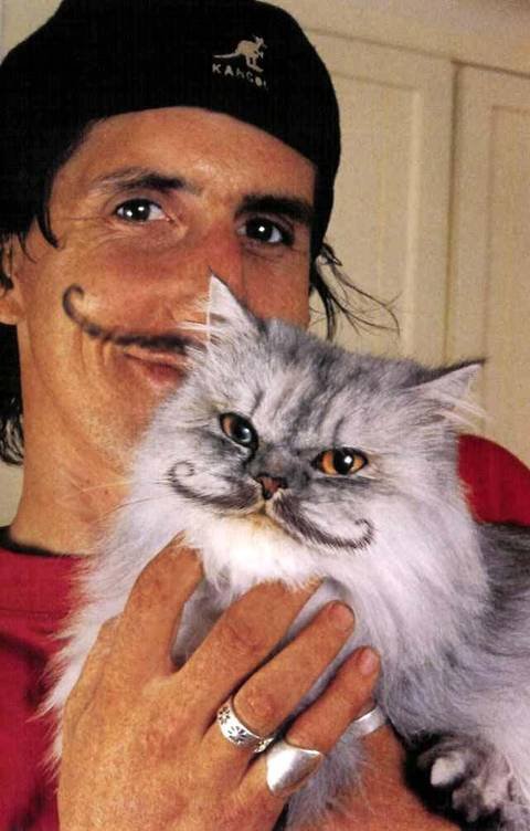 19_cat_55331.jpg