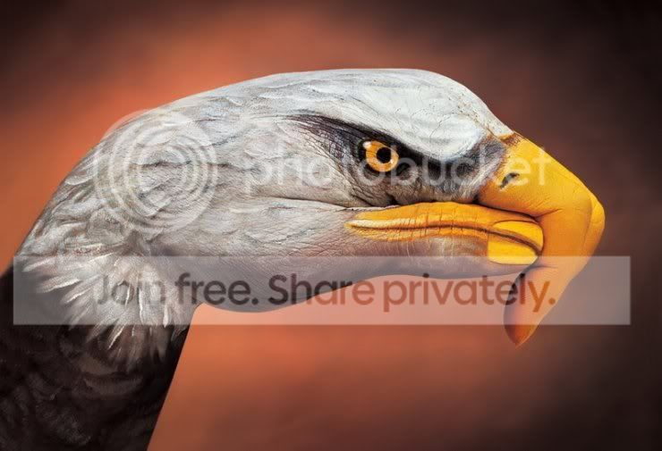 6-1.jpg