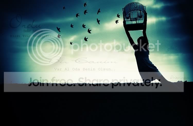 Free_Birds_by_ByLaauraa.jpg