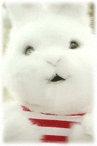 1231122ax10umpq0x.gif