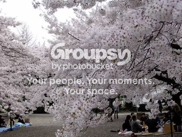 clip_image008.jpg