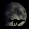 843088n4jw8mu4yi.gif