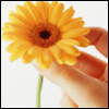 z12638990.png