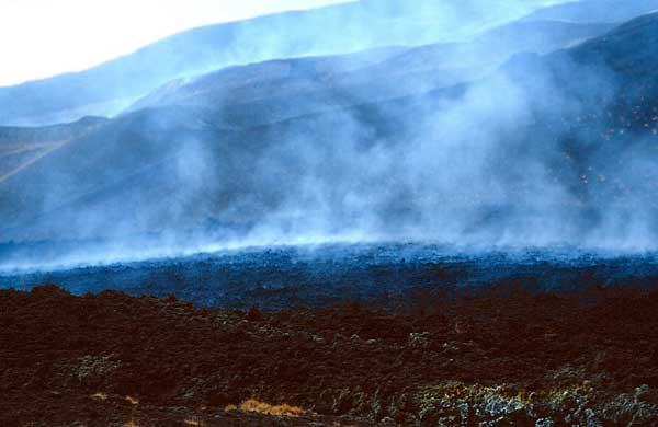 etna_4113.jpg