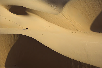 africa_07.jpg