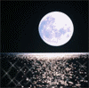 790447u62y2jqn3n.gif