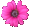 hotpinkflower.gif