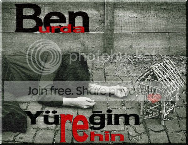 63746984up7aa3.jpg
