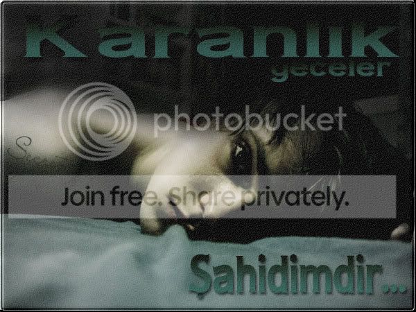 39745414bz6mt9.jpg