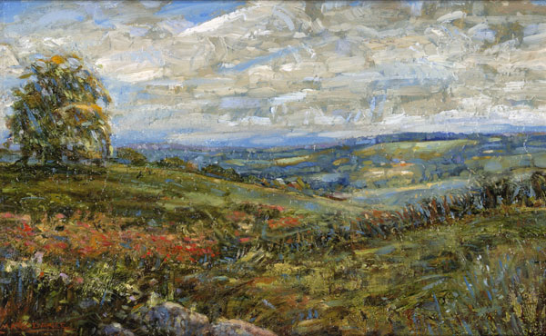 Pennsbury_wildflowers.jpg