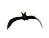 thebat.gif