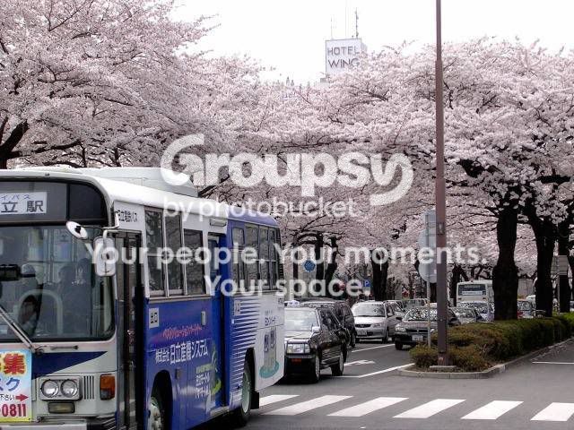 clip_image002.jpg