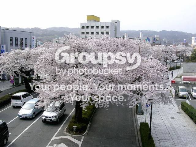 clip_image004.jpg