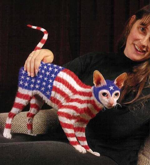 20_cat_41656.jpg