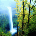 th_wwwmsnnedircom_msn_avatarlar10018.gif