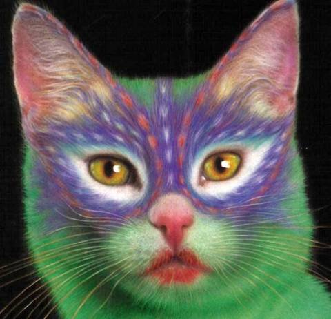 15_cat_36080.jpg