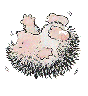 HEADOV15.gif