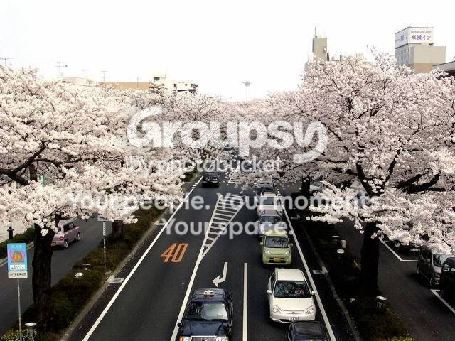 clip_image003.jpg