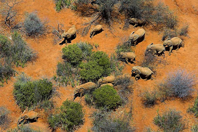 africa_05.jpg