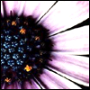 z12557538.png