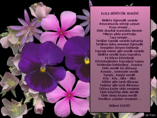 sevgikart14.jpg