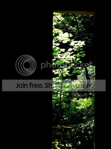 greenwindow.jpg