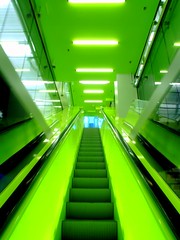 29582361_c9e924ff65_m.jpg