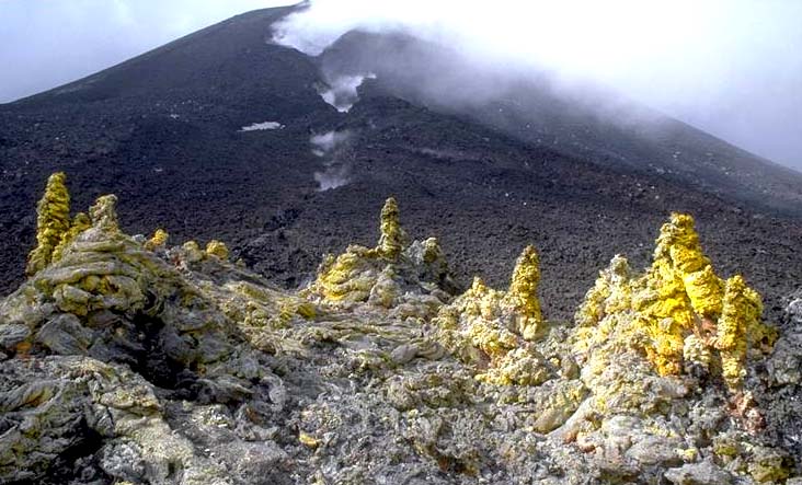 img0037.jpg