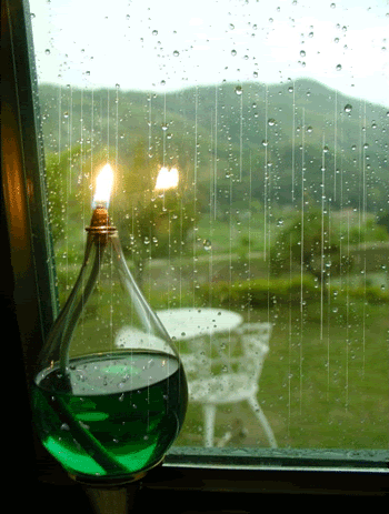green-1.gif