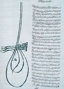 ferman09.jpg