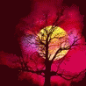 th_wwwmsnnedircom_msn_avatarlar10012.gif