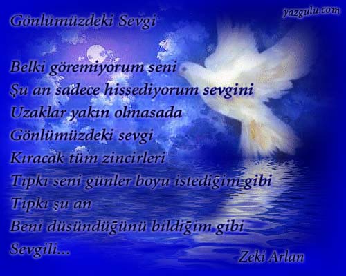 gonlumuzdeki_sevgi.jpg