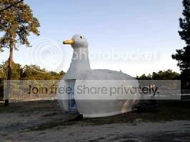 duckhouse.jpg