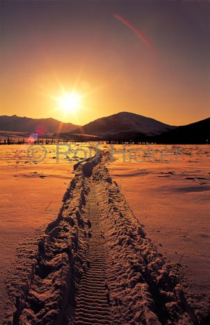 spuren-im-schnee_4106.jpg