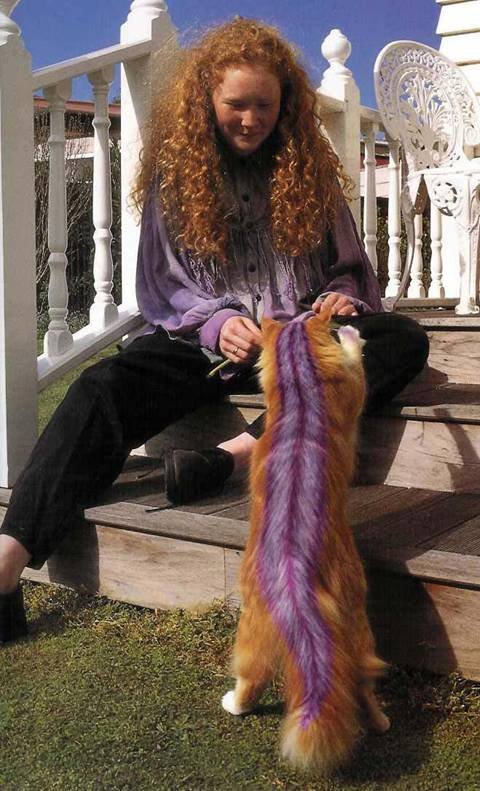 18_cat_82969.jpg