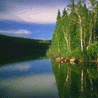 th_wwwmsnnedircom_msn_avatarlar10004.gif