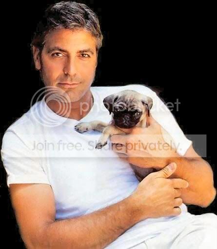 george_clooney_01.jpg