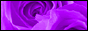 ros01_06.gif