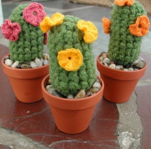 blazingcacti-300x297.jpg
