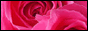 ros01_05.gif