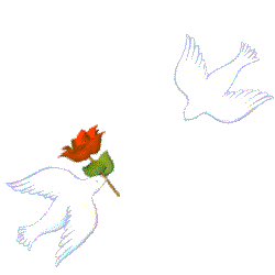 2dovewithrosemeeting.gif