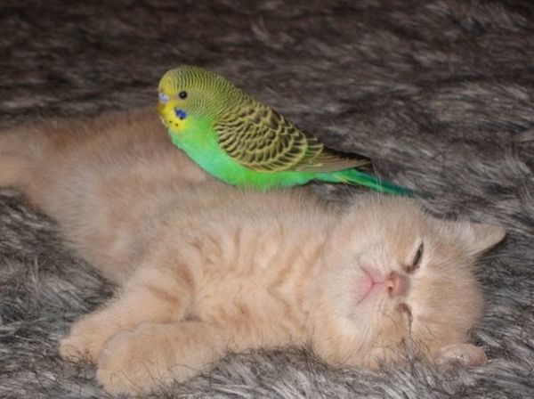 05_best_friends.jpg