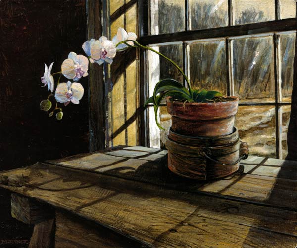 Orchid_CBsg_V2.jpg