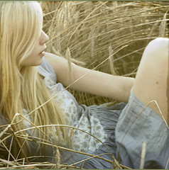 2732174297_b036bbcb71_m.jpg