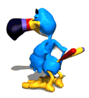 toucan.gif